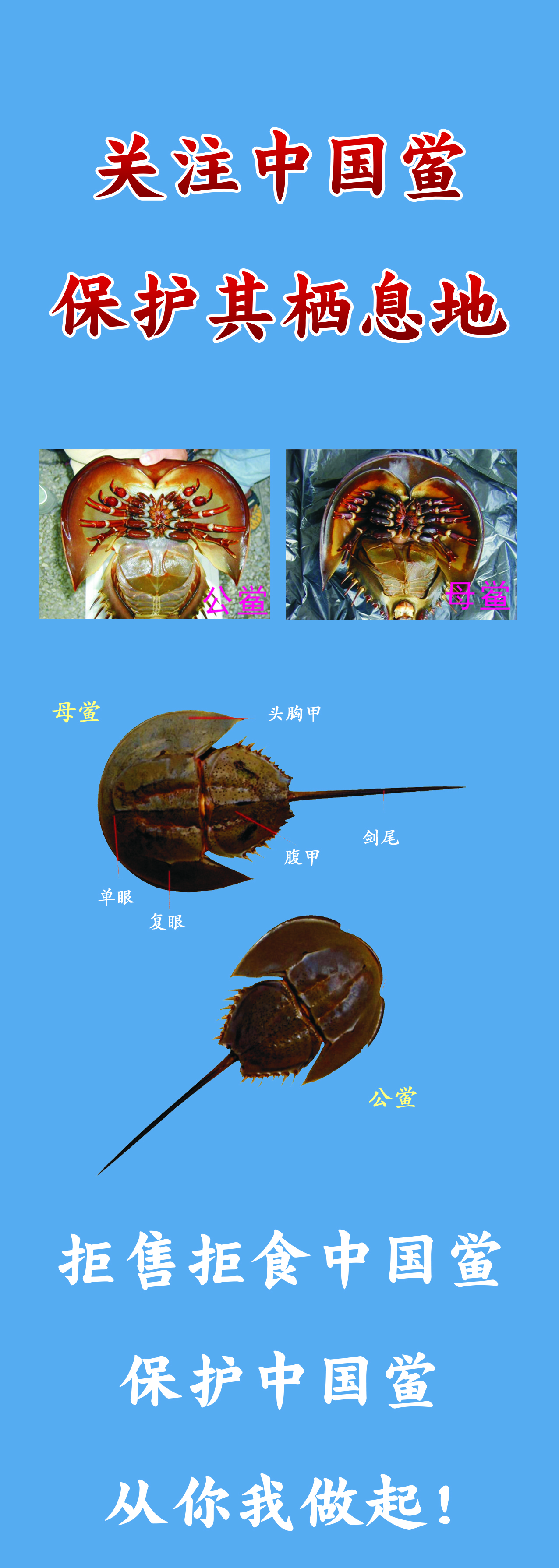 1565330649666547.jpg 微信圖片_20190808113632.jpg